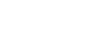 FHS-01